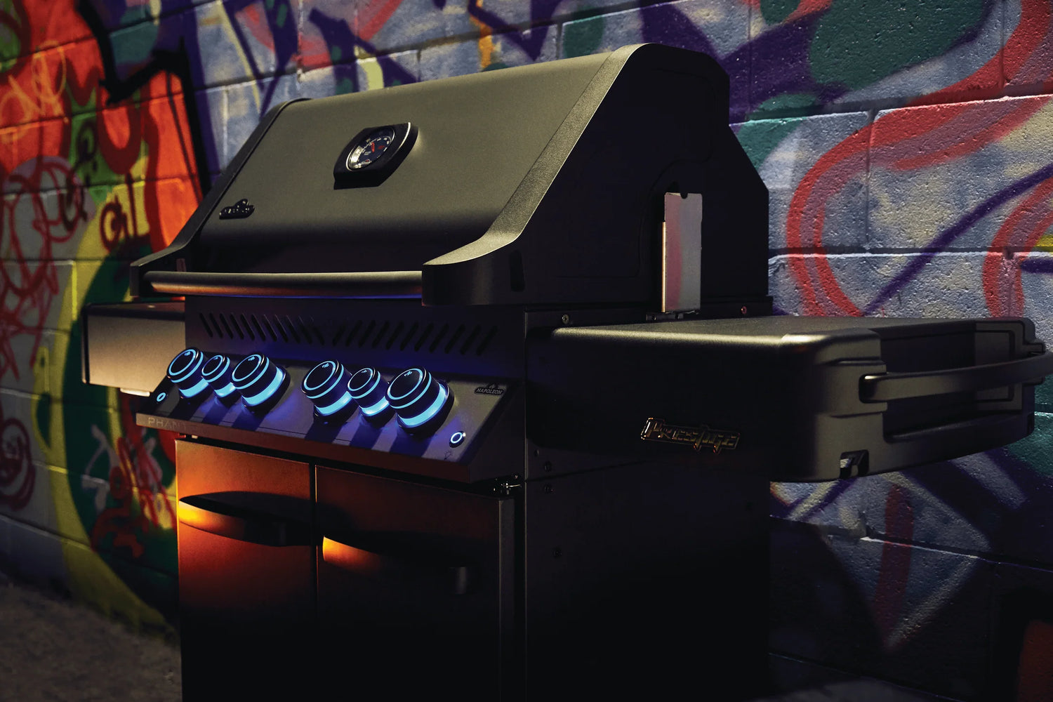 Freestanding Gas Grills